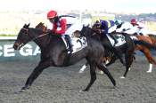 La photo de Hasapiko Arrivée Quinté+ Pmu Prix Du Chateau De Bayeux à DEAUVILLE