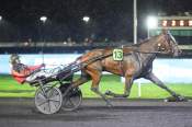 La photo de L'amiral Flower