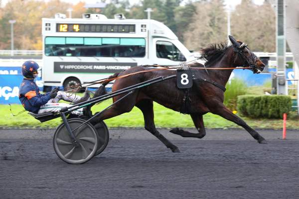Photo de KOUREAS D'ELA cheval de TROT ATTELE
