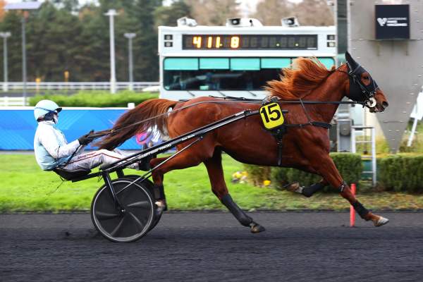 Photo de MARIO MASCAR cheval de TROT ATTELE