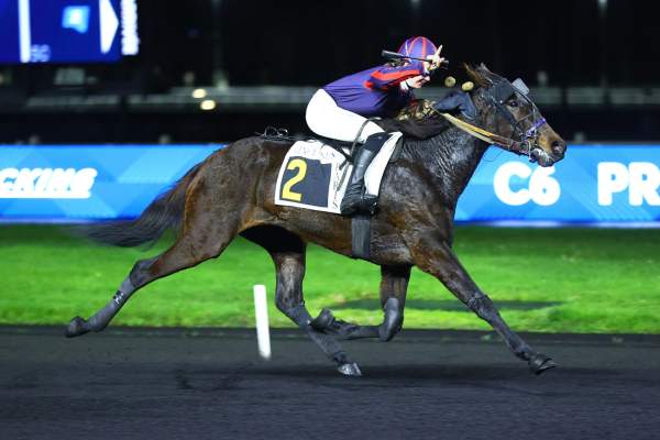 Photo de LIBERTY CASH cheval de TROT MONTE