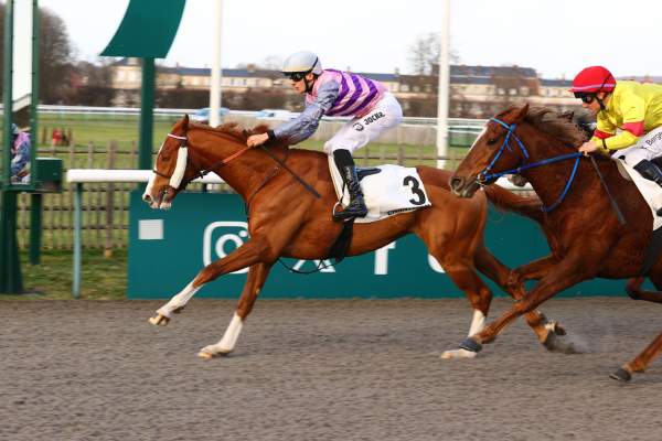 Photo de MOURAT cheval de PLAT