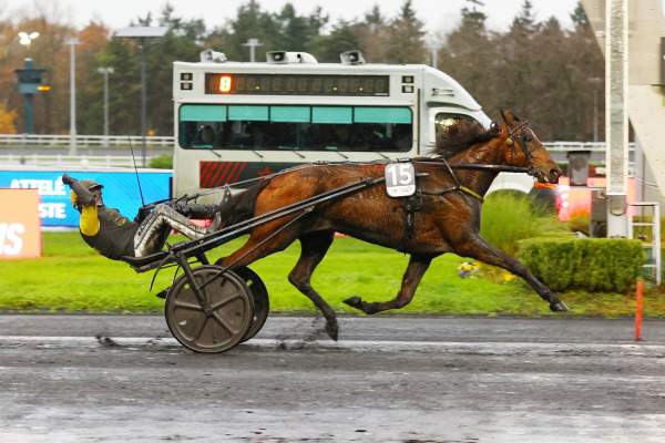 La photo de Inmarosa Arrivée Quinté+ Pmu Prix Du Bourbonnais - Amérique Races Q2 à PARIS-VINCENNES