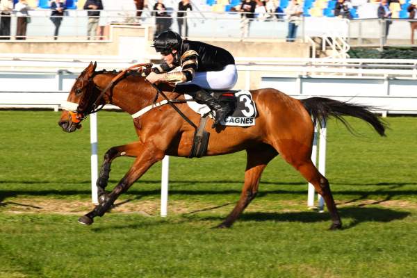 Photo de JARZE cheval de STEEPLE CHASE