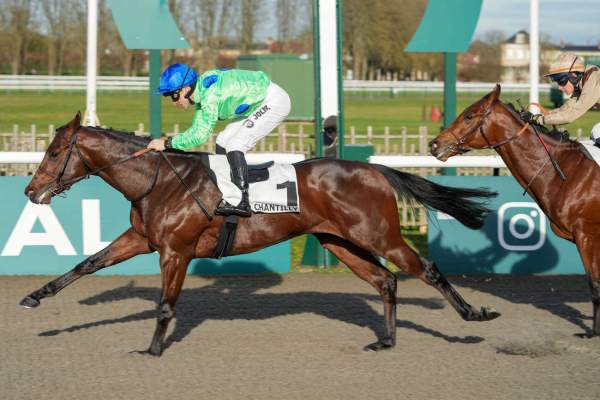 Photo de JUST THE TWO OF US cheval de PLAT