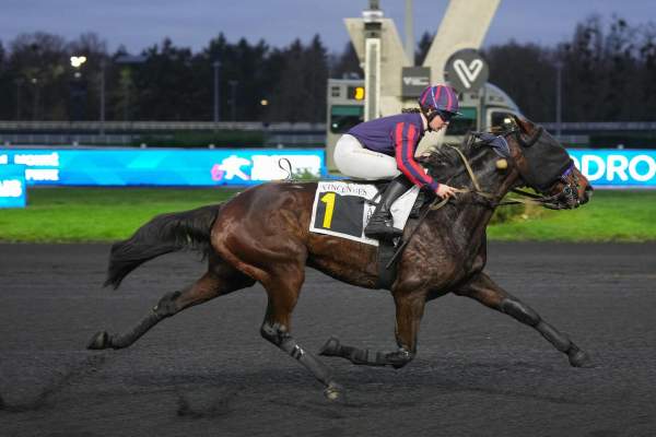 Photo de LUIGI DU CLOS cheval de TROT MONTE