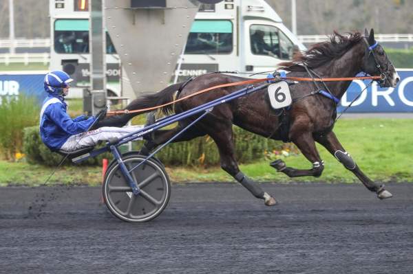 Photo de NOB HILL cheval de TROT ATTELE