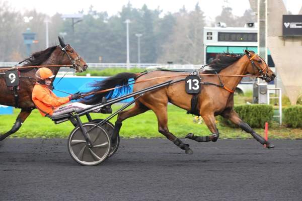 La photo de Nocive Du Choquel arrivée pmu Prix Une de Mai (Gr.I) à Vincennes