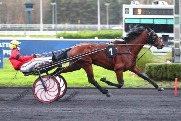 Photo de NOTABLE cheval de TROT ATTELE