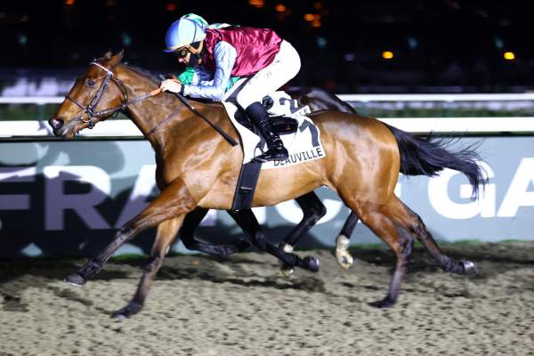 La photo de Kailani arrivée pmu Prix du Haut Gué à Deauville