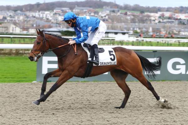 Photo de BOURGOIN cheval de PLAT