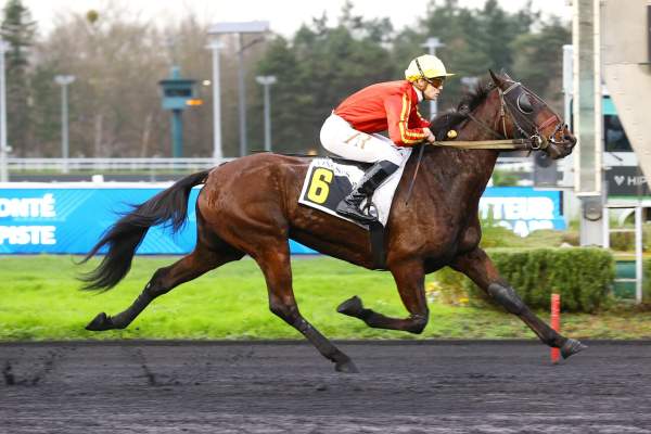 Photo de IBROX PARK cheval de TROT ATTELE