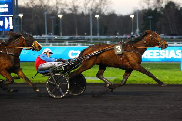 Photo de NESPERA cheval de TROT ATTELE