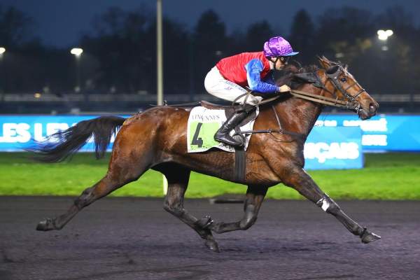 Photo de EROS ZOLA cheval de TROT ATTELE