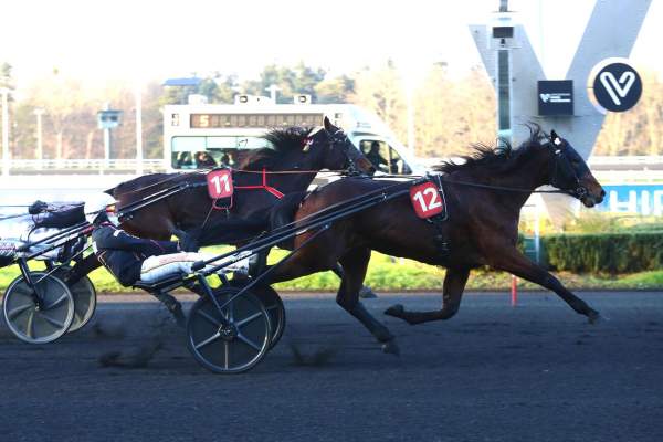 Photo de KILLER RAIN cheval de TROT ATTELE