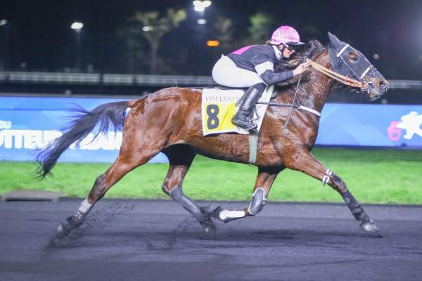 Photo de MISTER CARNOIS cheval de TROT MONTE