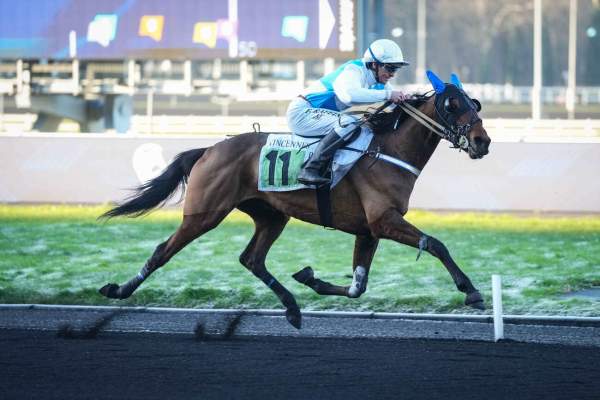 Photo de LE TRESOR KRAAILO cheval de TROT MONTE