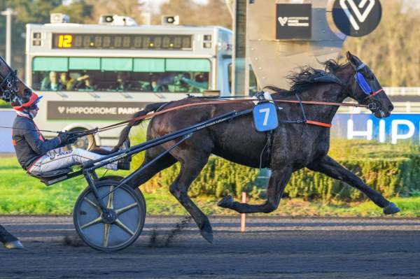 Photo de JYTRACE DE HOUELLE cheval de TROT ATTELE