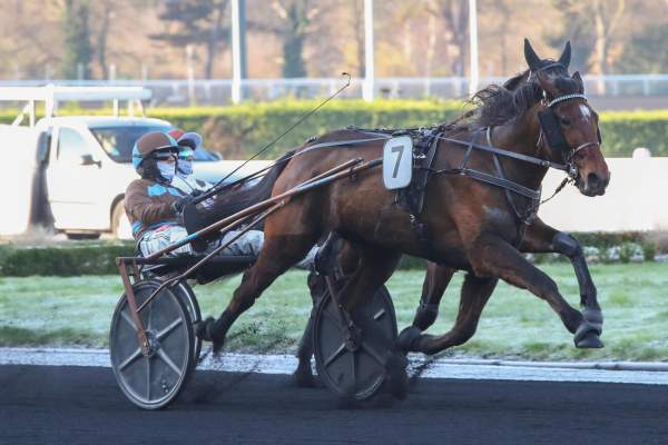 Photo de NOTTINGEN cheval de TROT ATTELE