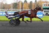 La photo de Lou Du Donjon arrivée pmu Prix de Cresserons à Vincennes