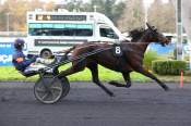 La photo de Koureas D'ela arrivée pmu Prix de Blangy à Vincennes