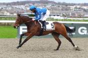 La photo de Bourgoin arrivée pmu Prix du Merlerault à Deauville