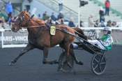 La photo de Ialto D'Hertals Arrivée Quinté+ Pmu Prix De Bar-Le-Duc à PARIS-VINCENNES