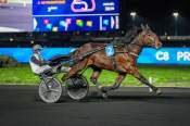 La photo de Lou Pantail arrivée pmu Prix de Brive-La-Gaillarde à Vincennes