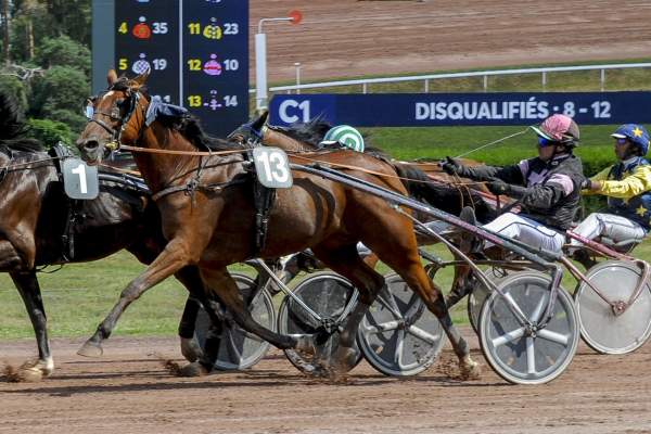 Photo de IL VIENT DU LUDE cheval de TROT ATTELE