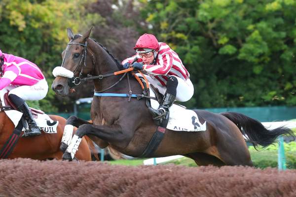 La photo de La Palmeraie 