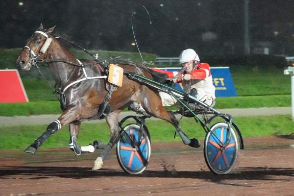 Photo de ICARE DE LA BASLE cheval de TROT ATTELE