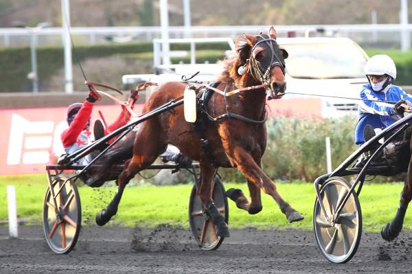 Photo de HERMES EXPRESS cheval de TROT MONTE