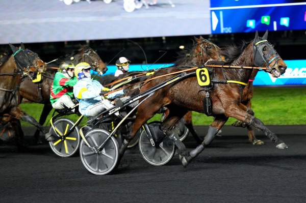 La photo de L'as Des Caraibes 