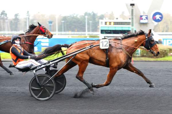 Photo de ISTORIC MAUZUN cheval de TROT ATTELE