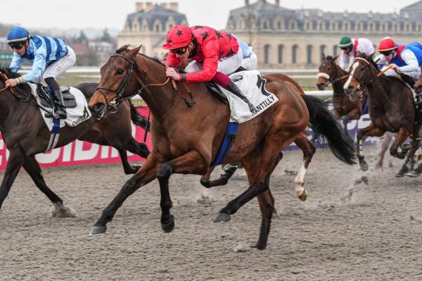 Photo de ZRYAN cheval de PLAT