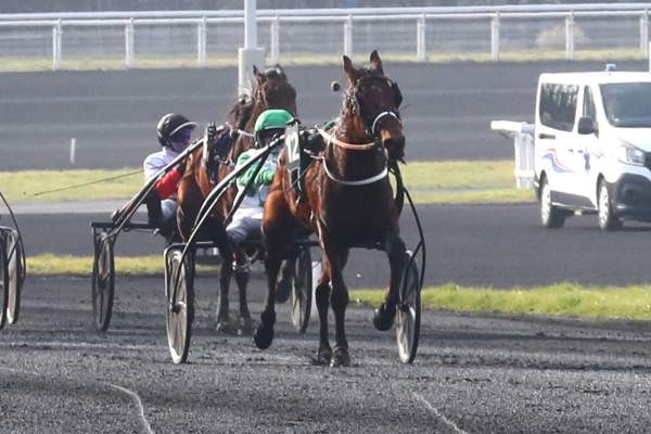 La photo de Lady Of Durbuy 