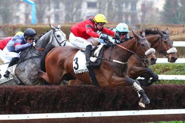 Photo de KENITO cheval de HAIES