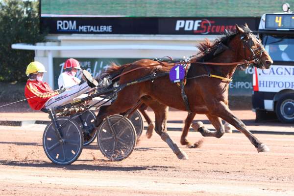 Photo de LUCKY RED cheval de TROT ATTELE