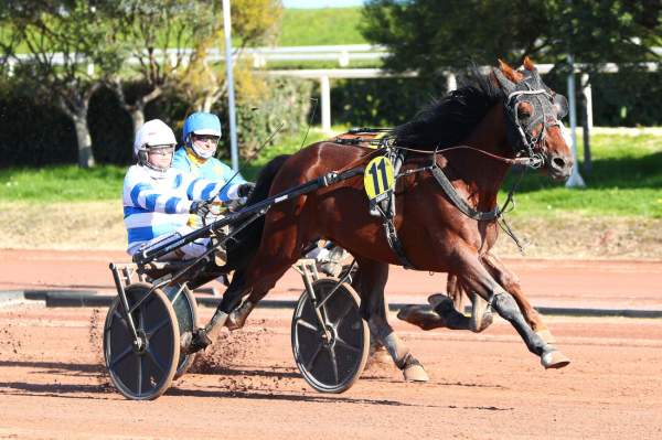 La photo de Kris Martin 