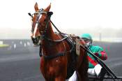 La photo de Jalendra De Malac Arrivée Quinté+ Pmu Prix de la Charte sur le Loir à Vincennes