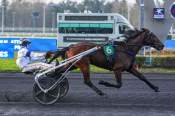 La photo de Madrid Haufor arrivée pmu Prix de Carhaix à Vincennes