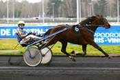 La photo de Myrtille Marboula