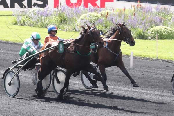 La photo de Jet Set Du Bellay 