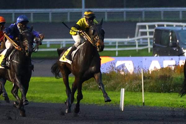 La photo de Kiroleta 