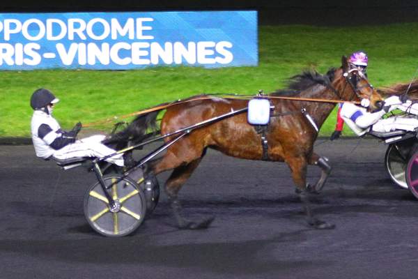 La photo de Jasmin Du Nord 