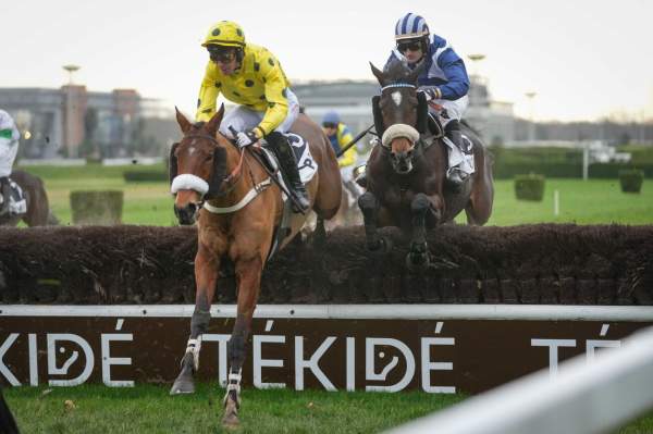 Photo de FOREST DU PECOS cheval de STEEPLE CHASE