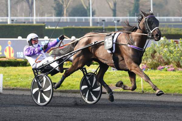 Photo de HORIZON D'EYMY cheval de TROT ATTELE