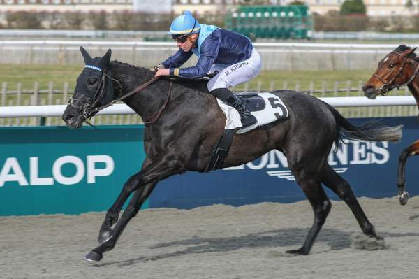 Photo de LA DOLOISE cheval de PLAT