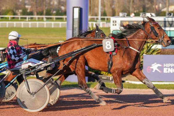 La photo de La Spezia De Lou arrivée pmu Prix des Cotes d'Armor à Enghien-Soisy