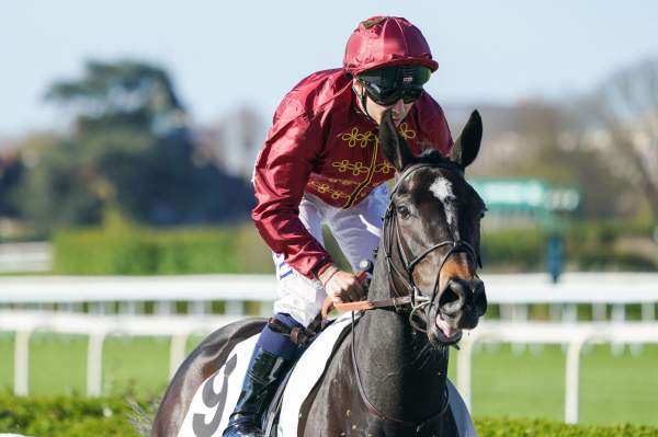 Photo de MOON CLOUD cheval de PLAT